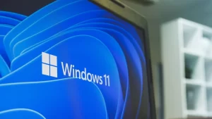 IBAGEM 11 WINDOWS SE