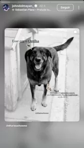 John Dolmayan (System of a Down) cobra justiça após morte do cão comunitário Orelha 2 IBAGEM ORELHA