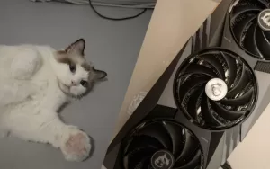 Rock Geek: gato herói detecta fumaça e evita tragédia com RTX 4090 pegando fogo 2 IBAGEM GATO