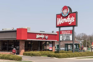 Rede de fast food americana lança álbum Emo com astros do gênero e transforma batata frita em sofrimento 2 IBAGEM WENDYS